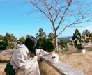 OT経験あり｜友達みたいにゆるっとお話し聞きます ただ話したいだけで大丈夫です。疲れた心を、少し休ませる場所。 イメージ1