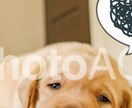 仕事についてアドバイスします 就職、転職、アルバイトでお悩み方ご相談下さい♪ イメージ2