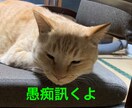あなたの愚痴を訊いた上で、あなたを褒めます あなたの自己肯定感を上げたい！ イメージ1