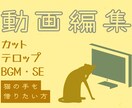 YouTube動画・その他動画の編集いたします ていねいな編集・お取引をいたします イメージ1