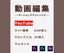 有名YouTuberになるよう手助け致します 想像してみてください。チャンネル登録者が増加する喜びを。 イメージ1