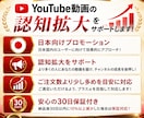 YouTube日本再生を＋1000回〜増やします 「再生されない」を「見られる動画」へ動画の認知拡大をサポート イメージ2