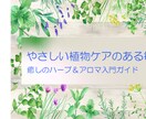 やさしい植物ケアのある毎日：レポートを提供します 心と体を癒すハーブ＆アロマ活用ガイド イメージ1