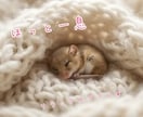 お試しOK♡ゆるっと楽しくお話しします 気軽にお話しして気持ちをリセットしましょう♪ イメージ2