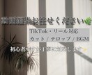 TikTok動画編集｜初心者ですが丁寧に対応します やさしく見やすい動画を丁寧に仕上げます イメージ1