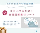 世界観重視のインスタ投稿テンプレートを作ります 期間限定で投稿制作で使える特典配布します♪ イメージ3