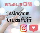 5日間！Instagramいいね運用代行します ターゲットに限定したいいねを『安く』『多く』提供いたします！ イメージ1