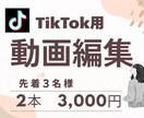 TikTokの動画編集します 最短24時間・低価格でSNS動画制作 イメージ1