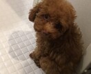 恋愛の悩み聞きます 楽になれるのなら、お聞きします イメージ1