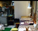 親子、不登校、進路、反抗期、恋愛すっきり解決します 現実と未来　京都三条☀︎現役占い師が占います。鑑定歴12年 イメージ5