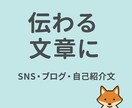 SNS・ブログ投稿を伝わる文章にリライトします 大学広報担当が、あなたの文章をわかりやすく整えます イメージ1