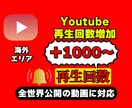 YouTubeの再生回数を増やします YouTubeの再生回数を高品質＆激安1000増加 イメージ1