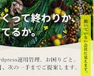 WordPressを更新・運用管理します 更新・情報更新・GA4確認まで含む月額運用です イメージ1