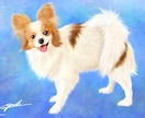 想いを乗せたイラストを描きます 飼い主さまの愛情をヒアリングし、イラストに生かします。 イメージ6