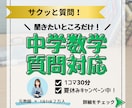 タイパ重視！元教師が中学数学の質問対応します わからない問題だけ！30分から選べるサクッと質問サービス イメージ1