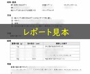 自由研究の進め方・レポートの書き方サポートます 実験の進め方と書く手順をやさしく解説 イメージ2