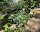 お話聞きます お悩み、愚痴、自慢話等々、話したい時の相手になります。 イメージ2