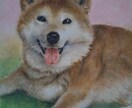 ペットの似顔絵をリアルな油絵で描きます 大好きなペットとの思い出を温かみのある油絵にしてみませんか？ イメージ3
