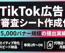 TikTok広告の事前審査シート作成を代行します 月5000件の実績！TikTok 事前審査シート作成を代行 イメージ1