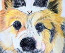 猫の似顔絵描きます 色鉛筆画で写真そっくりに描きます。 イメージ10