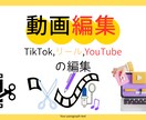 TikTokリールYouTube動画編集を行います リスナーの気持ちも考え作成します イメージ1