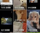 即納！YouTubeやインスタの動画を作ります お客様からいただいた動画やBGMを使って1分動画を作ります。 イメージ1