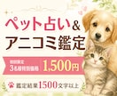 ペット占い＆アニコミ｜心の声をお伝えします アニマルコミュニケーターが占いを通してさらに深く読み解きます イメージ1