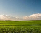 どん底から這い上がるための秘策★占いもします 解決の糸口を見つけます★新しい、幸せな人生にする為に★ イメージ10
