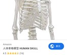 身体機能・運動のパフォーマンス向上を教えます 理学療法士が教えます。当人も大学まで体育会でバレーしてました イメージ1