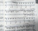 楽曲分析（アナリーゼ）を致します 演奏指導や譜読みのお手伝いをします イメージ6