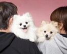 愛犬との家族写真ご自宅でもできます ご自宅でスタジオクオリティの家族写真を。 イメージ5