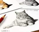大切なペットとの思い出を鉛筆・色鉛筆画にします 大切な家族との幸せな時間を、温もりある作品として残します イメージ2
