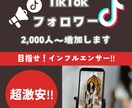 TikTok【フォロワー】+2,000人増やします TikTokフォロワー宣伝します！フォロワー増加確実！ イメージ1