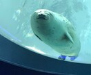あなたの心の悩みをお聞きします 人に言えないこと何でも吐き出しちゃってください！ イメージ2