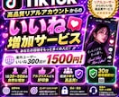 TikTok高品質いいねを300回増やします 低減少率|高品質いいね|振り分け対応|30日間補填補償| イメージ5