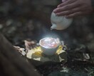 日本茶の提供・オペレーション・インスタ運用できます お茶の子さいさい　茶人として培ってきたことでのサポート イメージ4