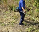 50㎡（駐車場約3.4台分）の草刈りをご提供します キャンペーン期間中の為、通常よりお安くご提供いたします。 イメージ2