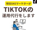 現役SNSマーケターがTIKTOK運用代行をします 企画から考え月4回投稿でこの価格！1ヶ月運用代行します！ イメージ1