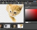 画像加工します 商品画像がうまく作れないあなたへ♪ イメージ1