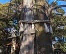 1人で悩まず、恋愛、複雑恋愛などお話聞きます 癒しとヒーリング、オラクルカードでそっと心に寄り添います☘ イメージ2