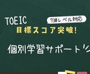 TOEIC目標スコア突破に向けてサポートします あなたに合わせた短期集中プログラムを構築！ イメージ1