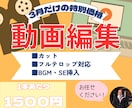 3月限定！お試し価格で動画編集させていただきます あなたの動画を2本、3月の間は特別価格で作成します！ イメージ1