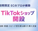 プロが構築！TikTok売れる土台＆動画制作します ショップ構築〜動画制作まで。ECプロが完全サポート イメージ1