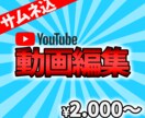 コスパ良しで満足していただける動画編集をします 10分以内の動画とサムネイル作成で2000円~ イメージ2