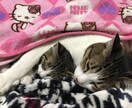 寂しい時間やり取りします 孤独を感じて寂しい時にやり取りさせて頂きます。 イメージ1
