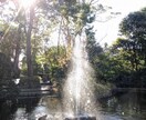 あなたとご家族が活動拠点とする鎮守神社を観ています 一霊四魂と神縁あるネットワーク神社にもご守護いただきましょう イメージ2