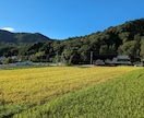 椄客歴20年の経験で心のモヤモヤを全てお聞きします タメ口OK！ゆっくり関西弁でどんな話もお聞きします！ イメージ3