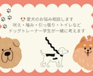 犬のしつけ・トレーニングのお悩みをサポートします 専門学校で学ぶドッグトレーナーが愛犬に合った方法を提案します イメージ1