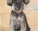 写真から愛犬の似顔絵を描きます 大切な家族の一枚を形に虹の橋を渡った子の思い出にいかが？ イメージ8