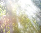 片思いの行方は？気になるお相手との恋愛鑑定します お相手の気持ち・今後の展開！霊感とカードリーディングします イメージ8
